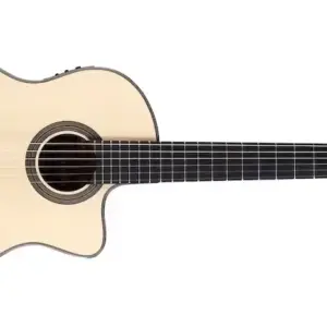 Acoustic Guitar Rental Puerto Rico